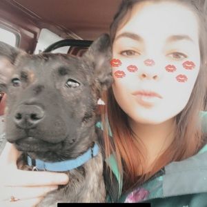 Meet your Posher, Heidi